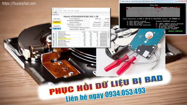 cuu du lieu o cung bi bad