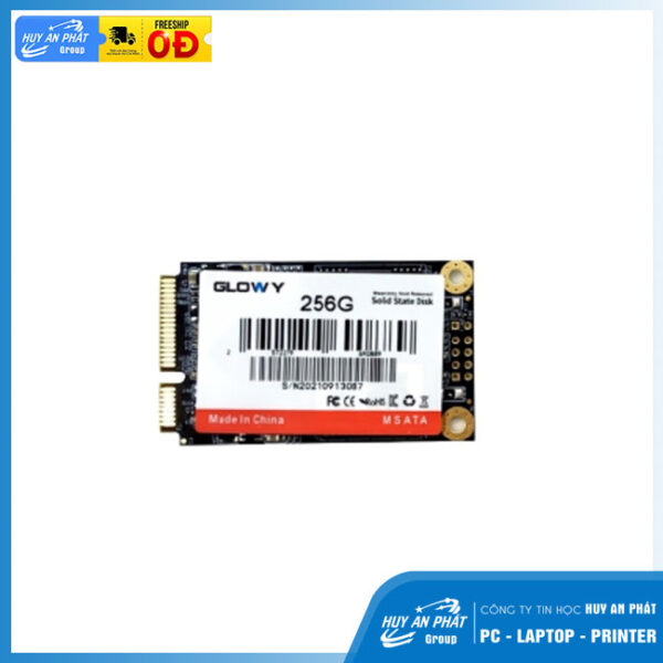 Ổ cứng SSD Glowy 256GB mSATA Chính Hãng