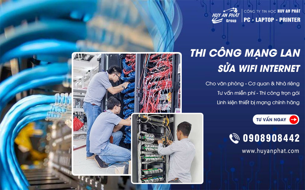 dich vu thi cong mang lan tphcm