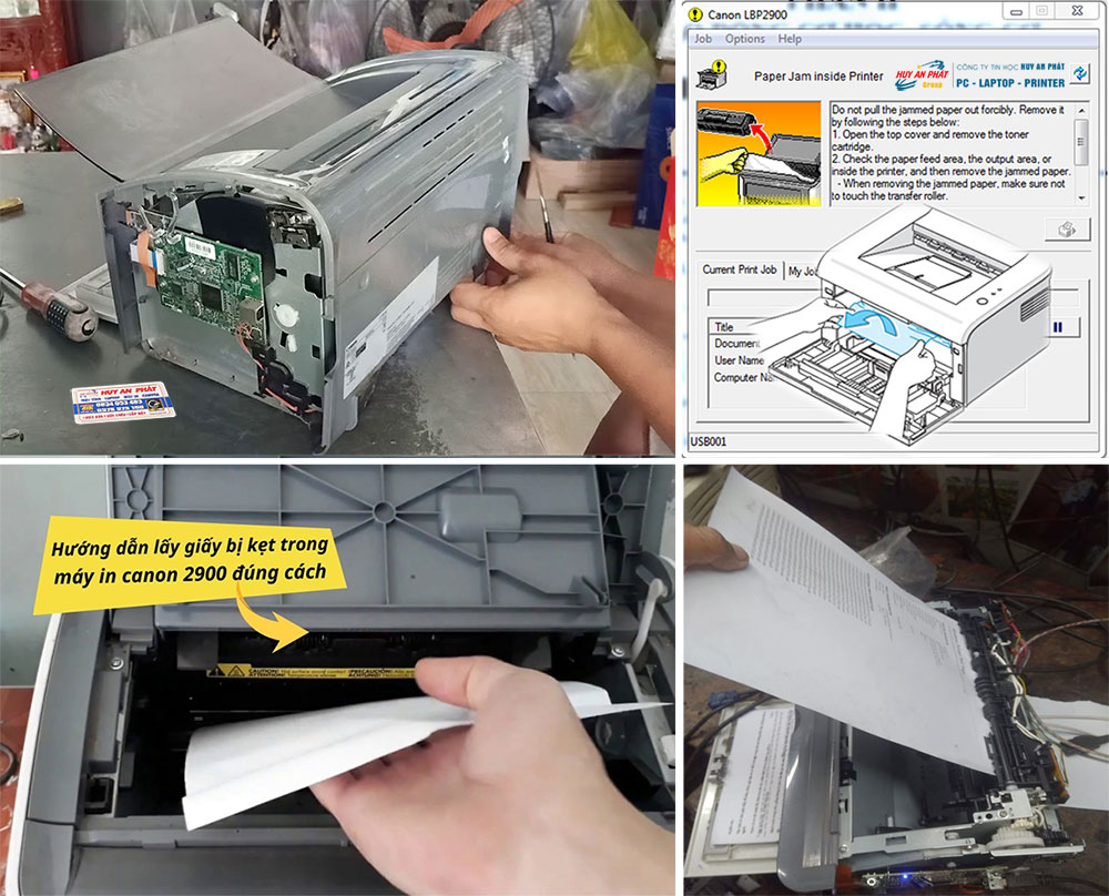 sua may in canon 2900